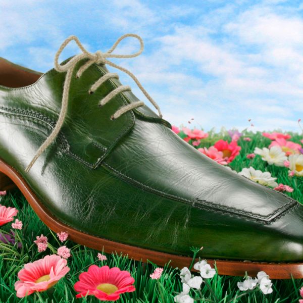 Ein grüner Herrenschuh auf der Blumenwiese - freie Stills Aufnahme von Frank Sobieray Photodesign.
